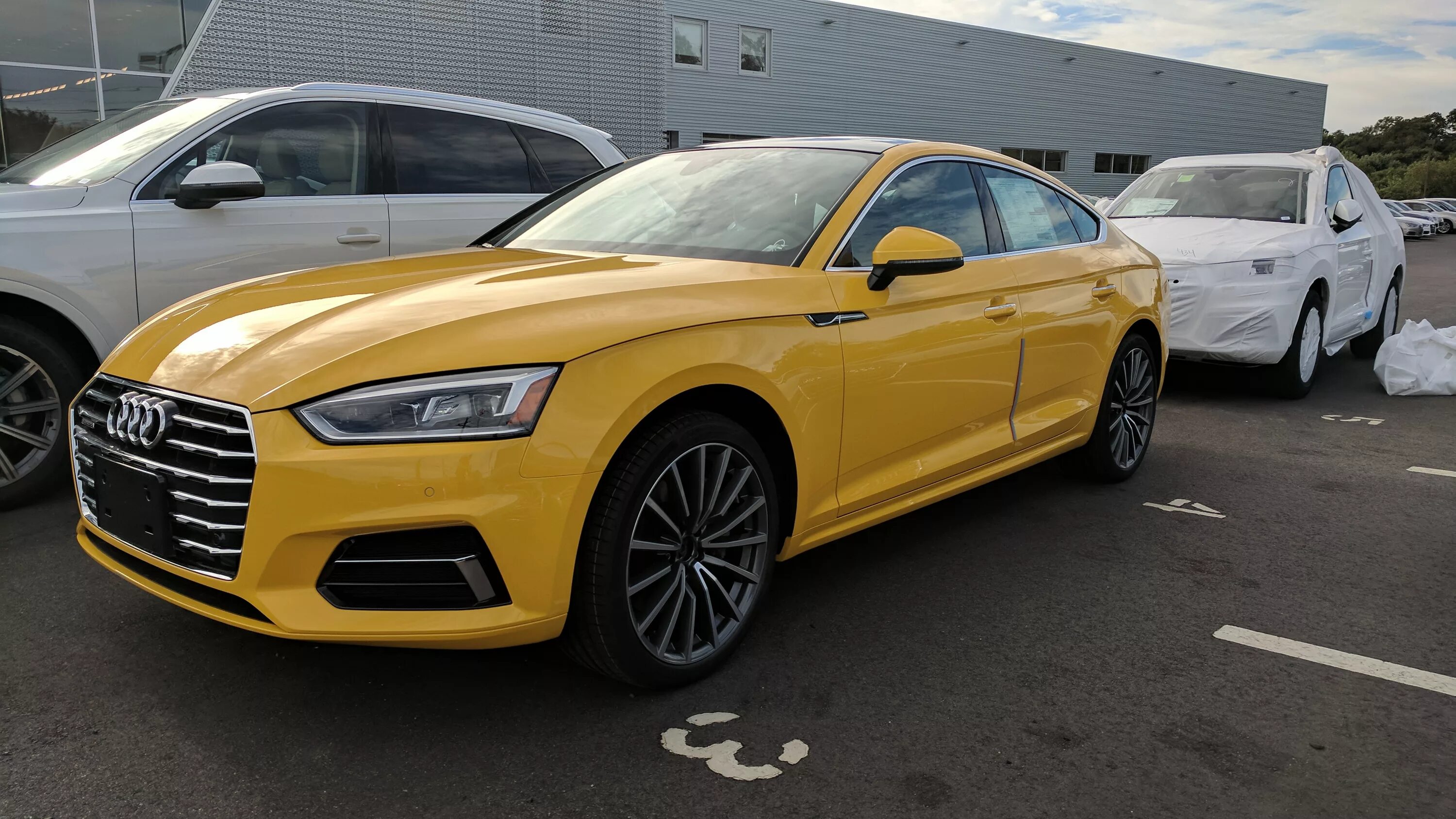 Audi a5 Yellow. Ауди а5 желтая. Audi a5 2019 Yellow. Audi a6 Yellow. Желтая пятерка