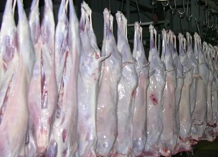 Продать мясо овцы