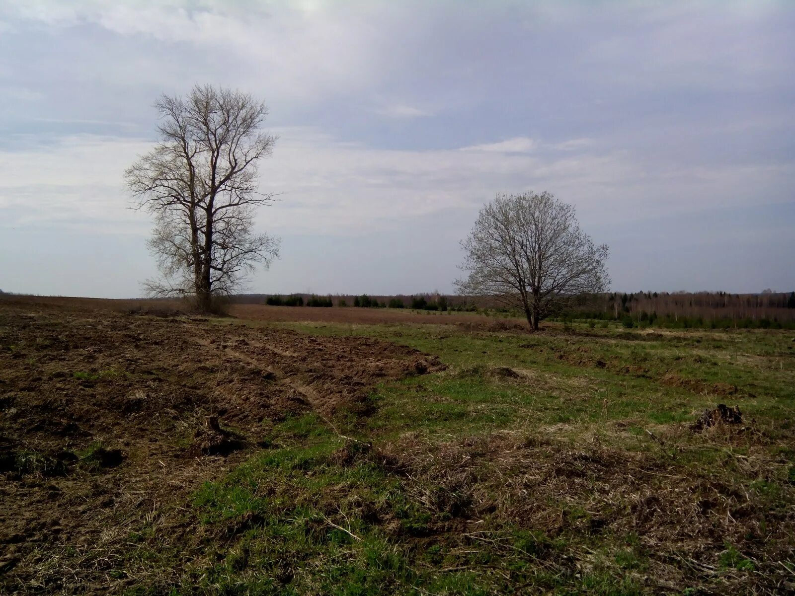 Заплавное самарская область церковь. Поповщина. Старообрядцы и другие конфессии 8 класс. Поповщина. Поповщина.