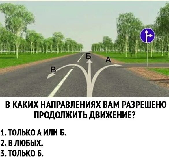 В каком направлении надо двигаться. В каком направлении разрешено продолжить движение. В каких направлениях вам разрешено продолжить движение. Ам разрешено продолжить движение:. ВВМ разрешено продолжить даижение.