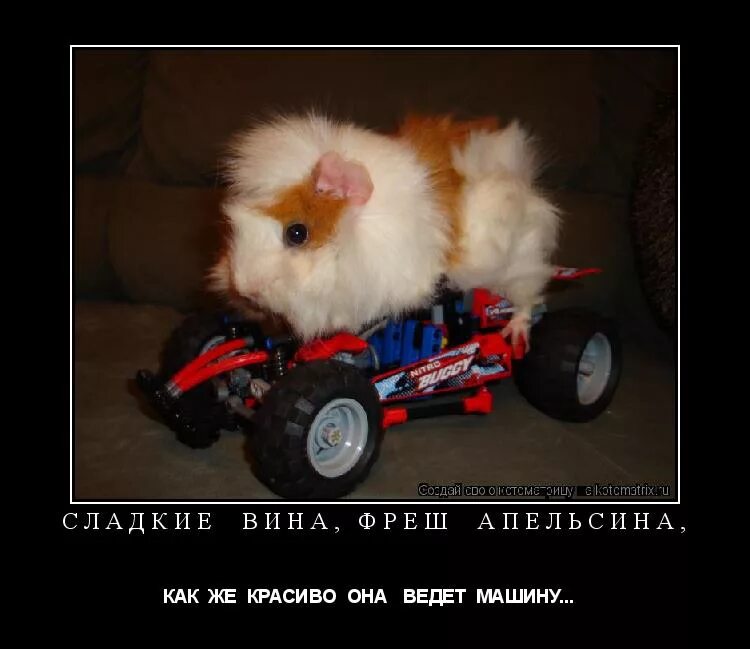 текст как же красиво он ведет машину. Help г перевернута. красивые слова о песне. загадка про водителя. стихи о профессии водитель.