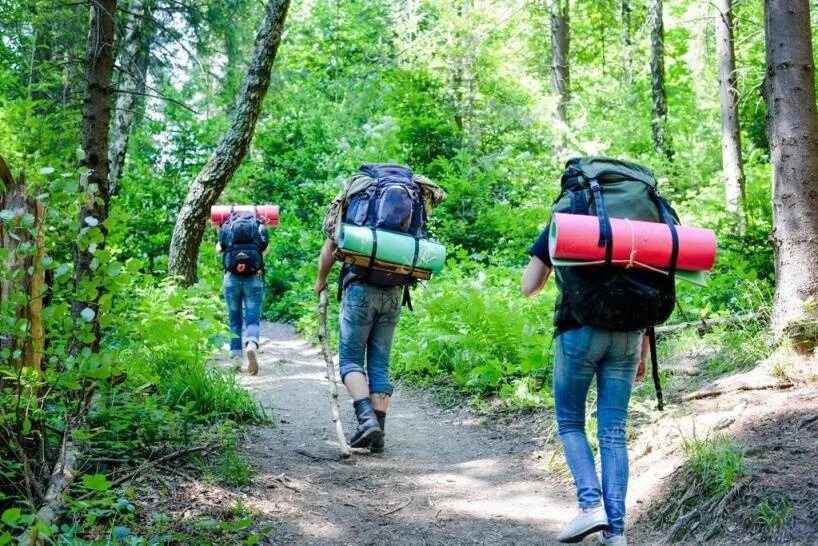 Поход в лес. Рюкзак для пеших походов. Турист с рюкзаком. Человек с рюкзаком в лесу. Для туристического похода ребята нужны рюкзаки