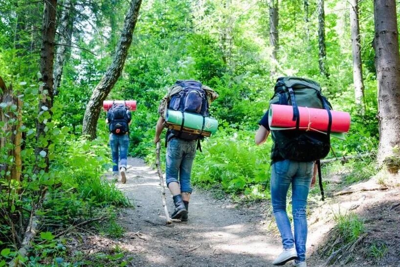 Выступить в поход. Туристы в лесу. турист с рюкзаком в лесу. пеший поход в лес. рюкзак для похода в лес.