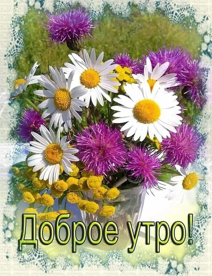 С добрым летним. Доброе летнее утро. Открытка с добрым утром хорошего дня. Открытки с ромашками. Поздравление с летним утром и днем.