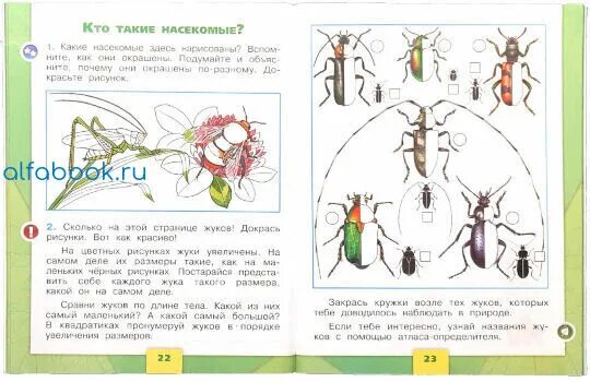 План урока окружающий мир 1 класс. Окружающий мир 1 класс Плешаков школа России рабочая тетрадь. УМК школа России окружающий мир 1 класс. Тетрадь окружающий мир 1 класс школа России. Рабочая тетрадь 1 класс окружающий мир школа России насекомые.