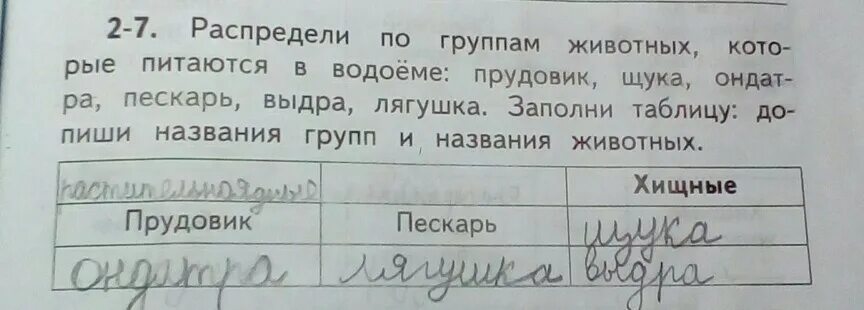 Названия групп животных. Распредели животных по группам. Напиши название группы животных. Запиши названия групп. Окружающий мир названия групп