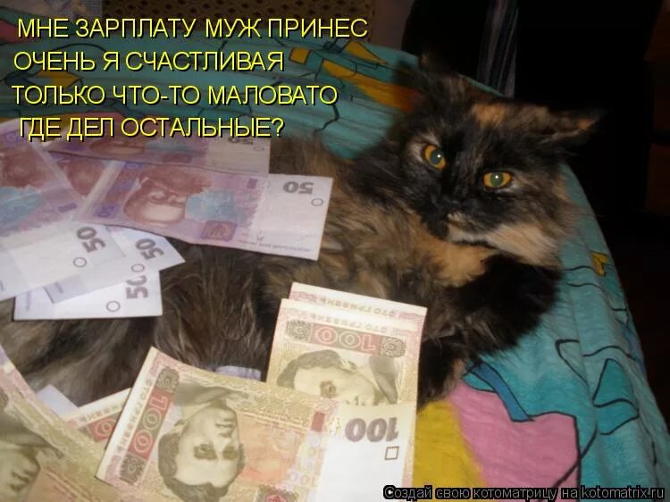 Зарплата мужа. Принес зарплату. Когда муж принес зарплату. Муж принёс зарплату. Муж принес зарплату фото.