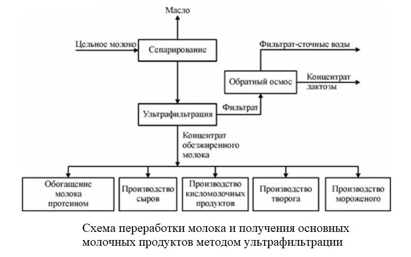 Переработка продукции молока. Схема технологического направления переработки молока. Схема переработки с помощью мембранных методов. Схема переработки молока на Молочном заводе. Технологическая схема производства безлактозного молока.