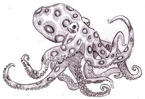 Осьминог нарисовать
