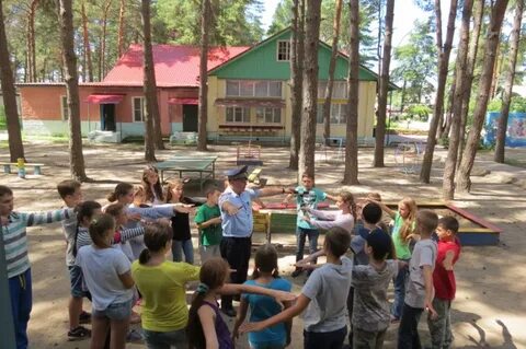 Лагерь орленок курск отзывы