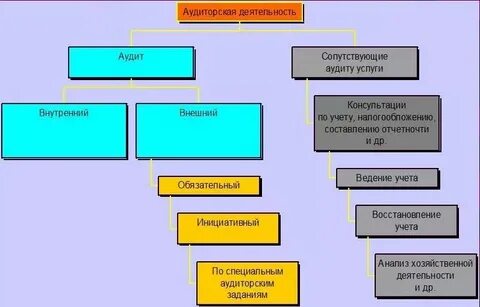 Аудит власти
