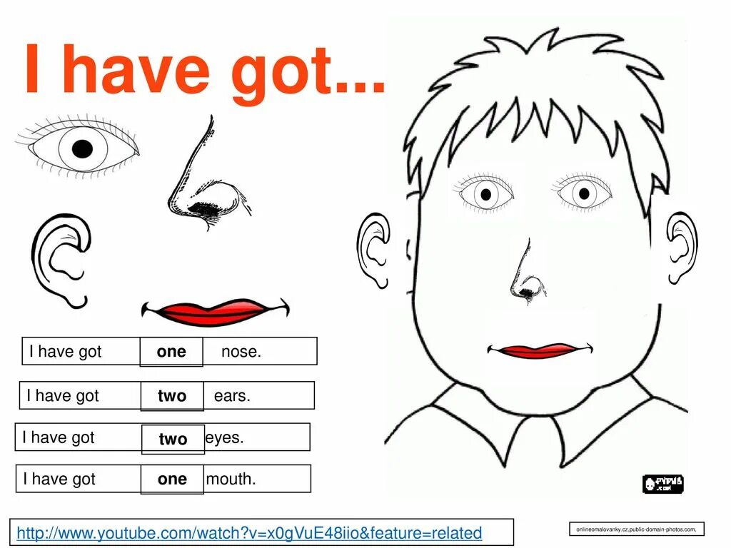 Nose как читается. I have got a nose. стихотворение i have two eyes. i have got eyes.