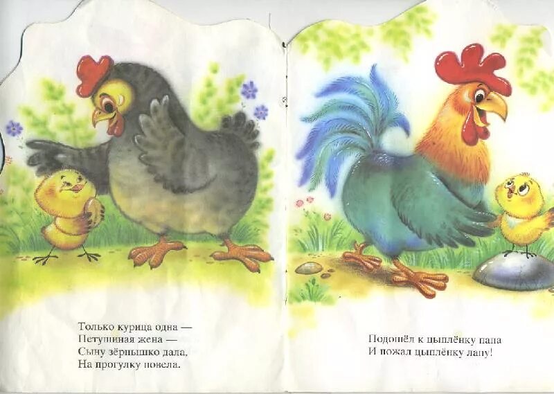 Загадка про кур. Стих про курицу для детей. Стихотворение про цыпленка. Стишок про курочку и цыплят для детей. Стишок про курицу для малышей.