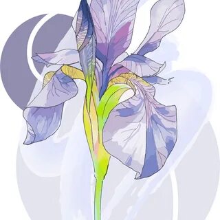 Arc iris graphics