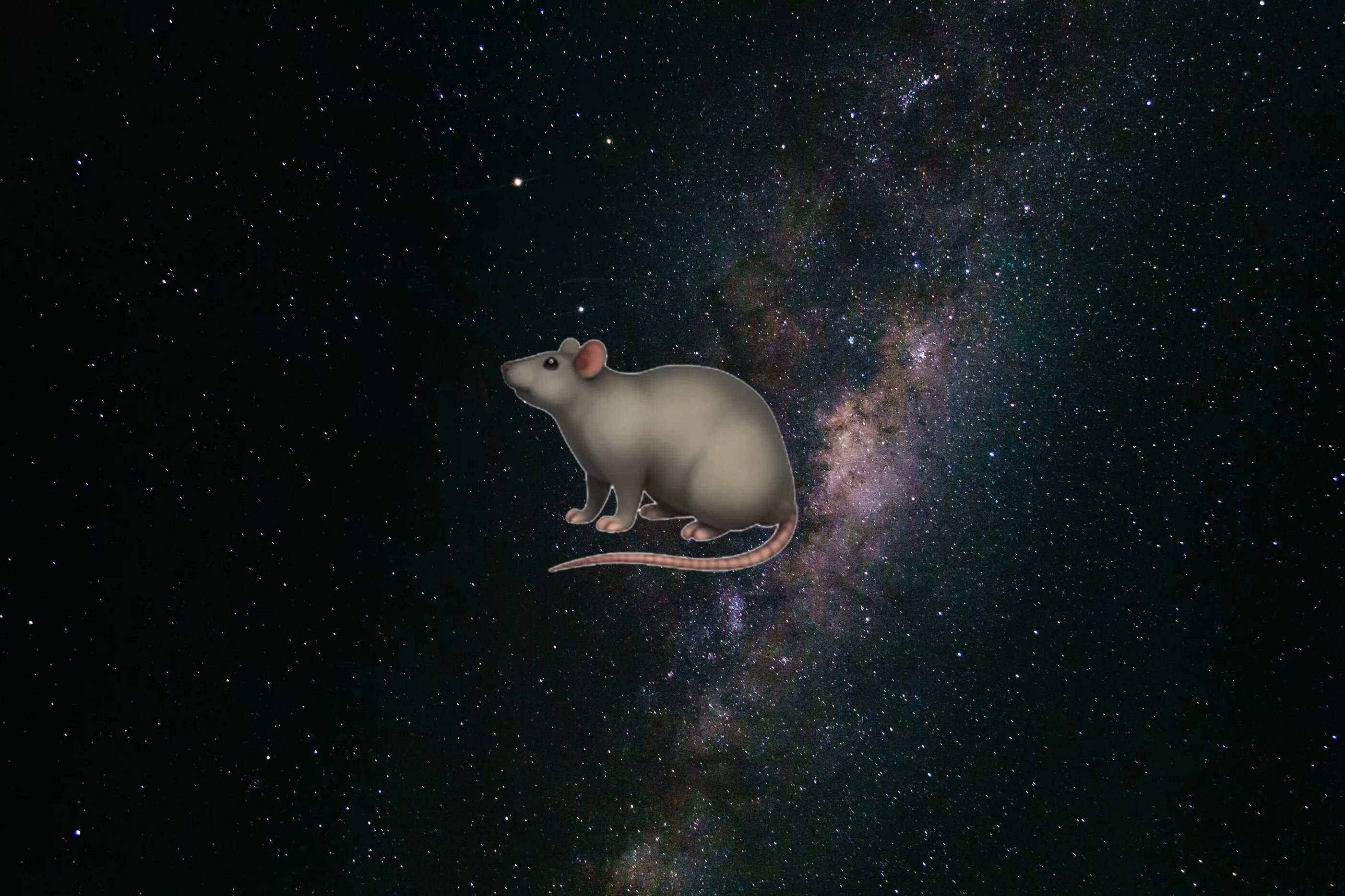 гороскоп для льва крысы. девушка лев крыса. девушка лев крыса. жозефина уолл знаки зодиака лев. мифы и животные.