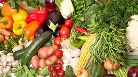 Качество и безопасность растительной продукции
