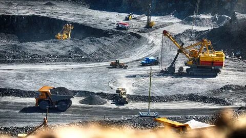 Ормандағы кискаларды көрсетеді