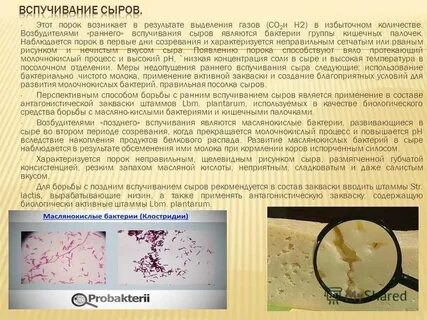 Кишечная палочка выделяет