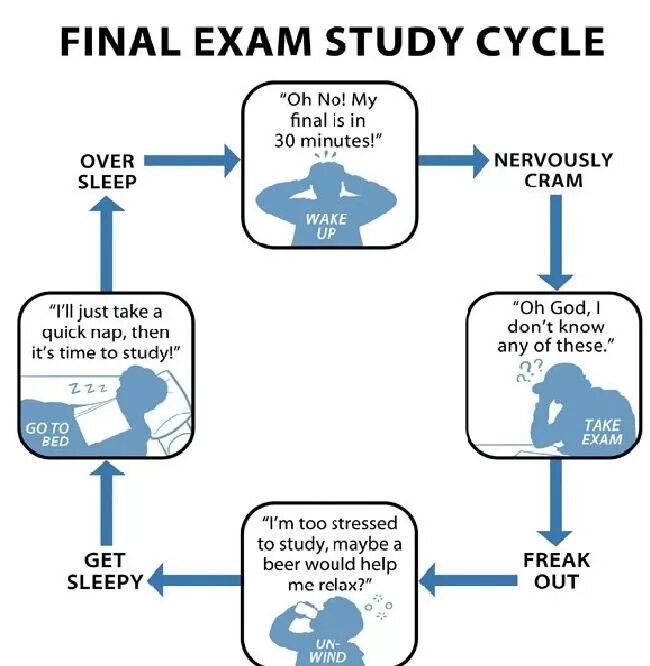 Studying for exams is. Study cycle. study exam. how to prepare for exams. финальные экзамены.