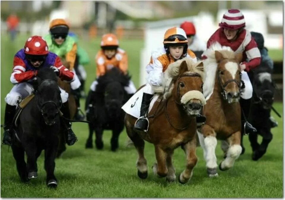Samba pony. Лошадь на скачках. Дети на лошадях скачках. Костюм для скачек на лошадях. Скачки конный спорт.