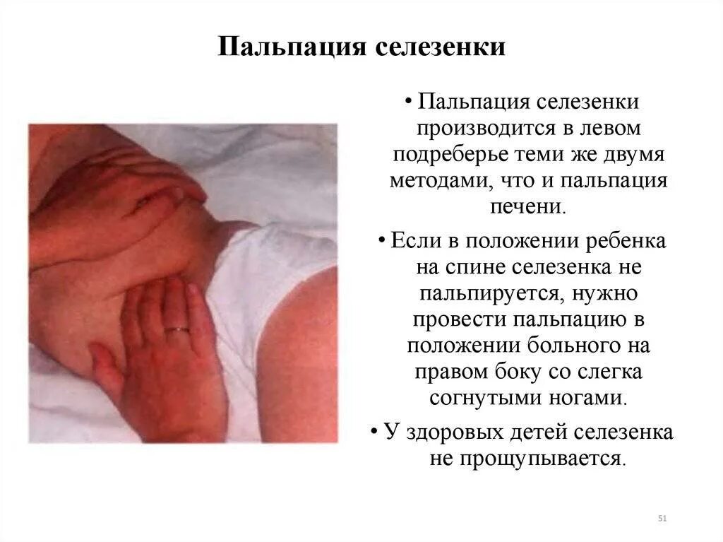 Пальпация печени и селезенки