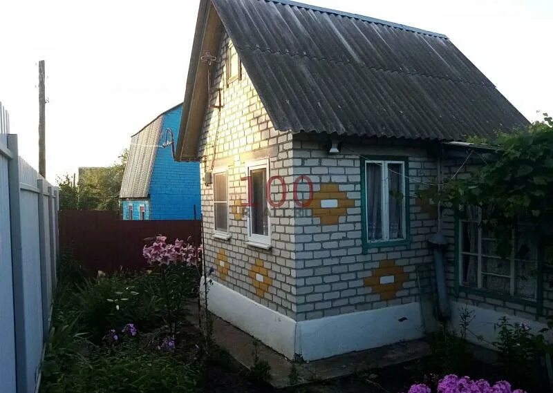 Объявление на авито железногорск курской. Авито железногорск курская область недвижимость дачи. Объявление на авито железногорск курской. Авито железногорск курская область животные. Сентюрева 6 железногорск курская.