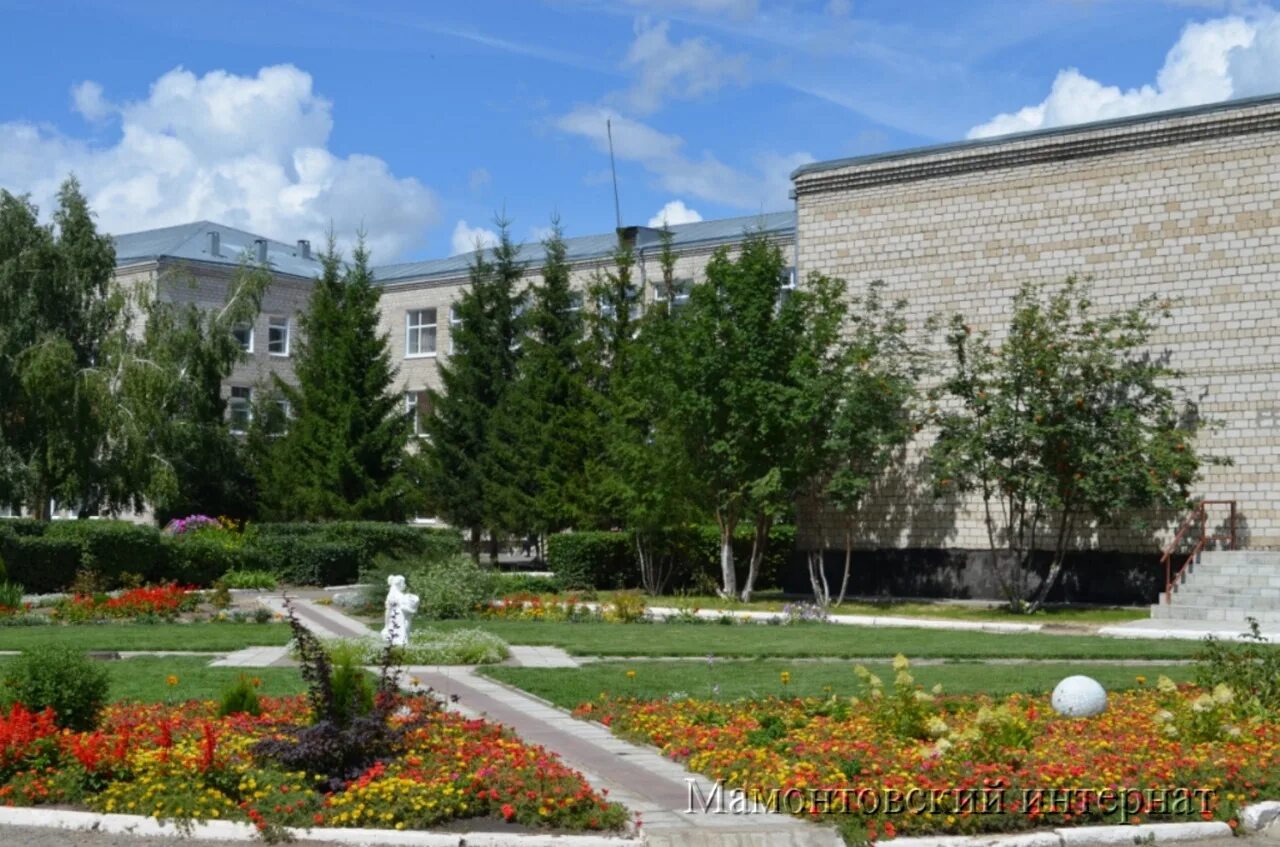 Троицкий алтайского края неврологический интернат. Первомайский психоневрологический интернат лесной. Психоинтернат алтайский край павловский район. Пещерский психоневрологический интернат. Кгбсусо троицкий психоневрологический интернат.