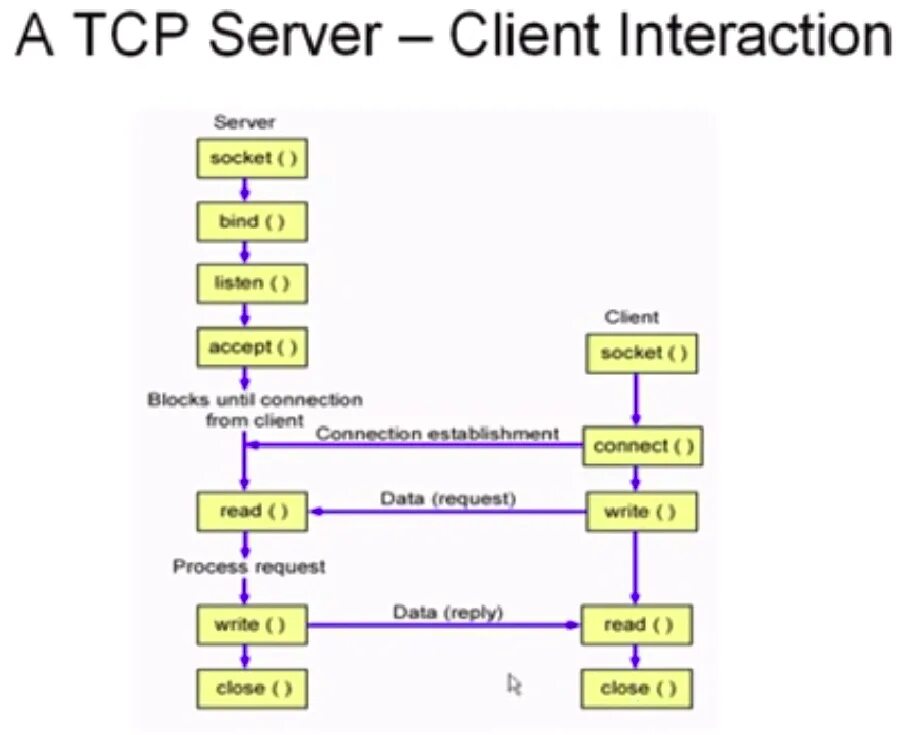 C tcp клиент. Tcp socket. сокеты tcp. sockets linux.