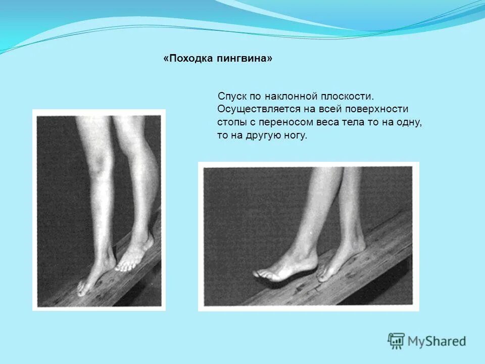 Пальчиковая гимнастика пингвин. Консультации животные холодных стран. Упражнение пингвин. Упражнение пингвин. Карточки с заданиями про пингвинов для детей.