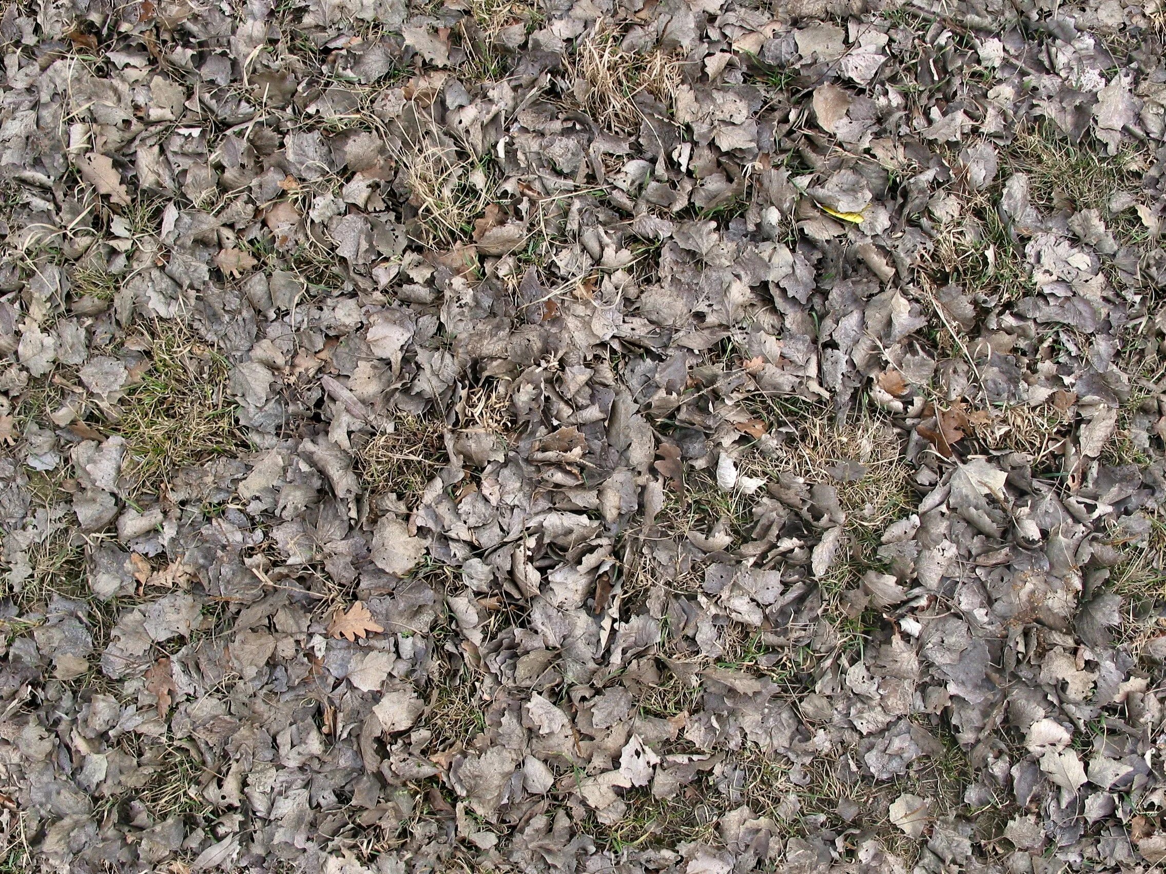 Текстура земли для юнити. Earth material. Earth material. Текстура земли бесшовная. Earth material.