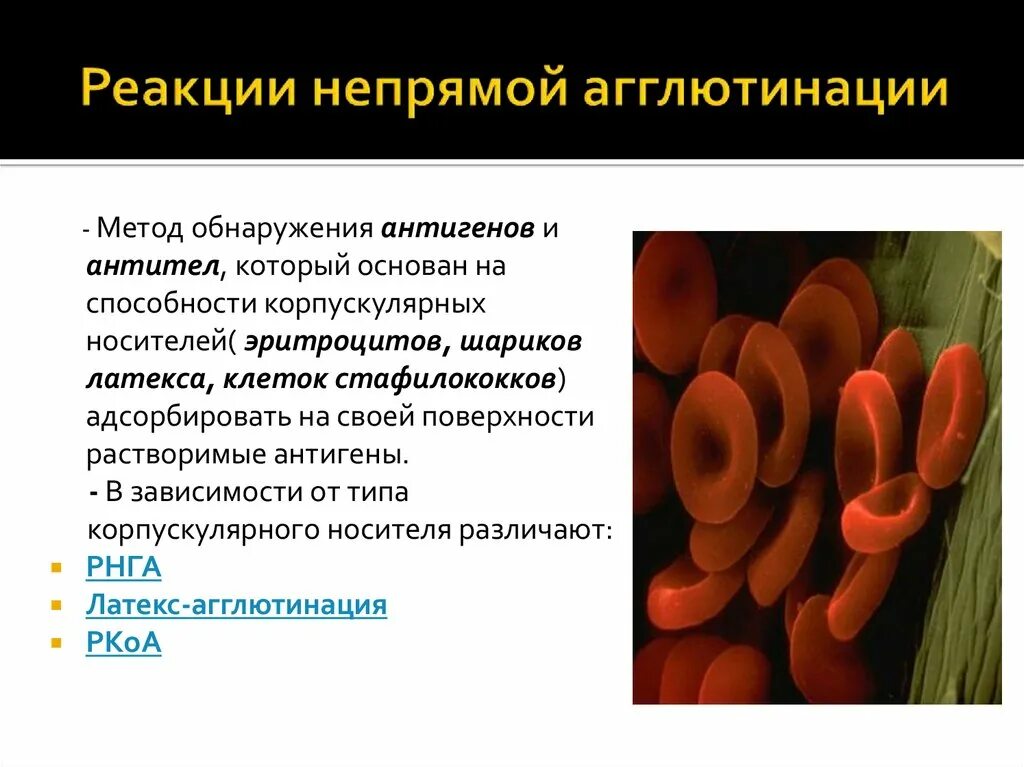 Реакция агглютинации антиген. Реакции непримой аглютинация. реакция непрямой агглютинации. реакции агглютинации, непрямой гемагглютинации. реакция прямой и непрямой агглютинации.