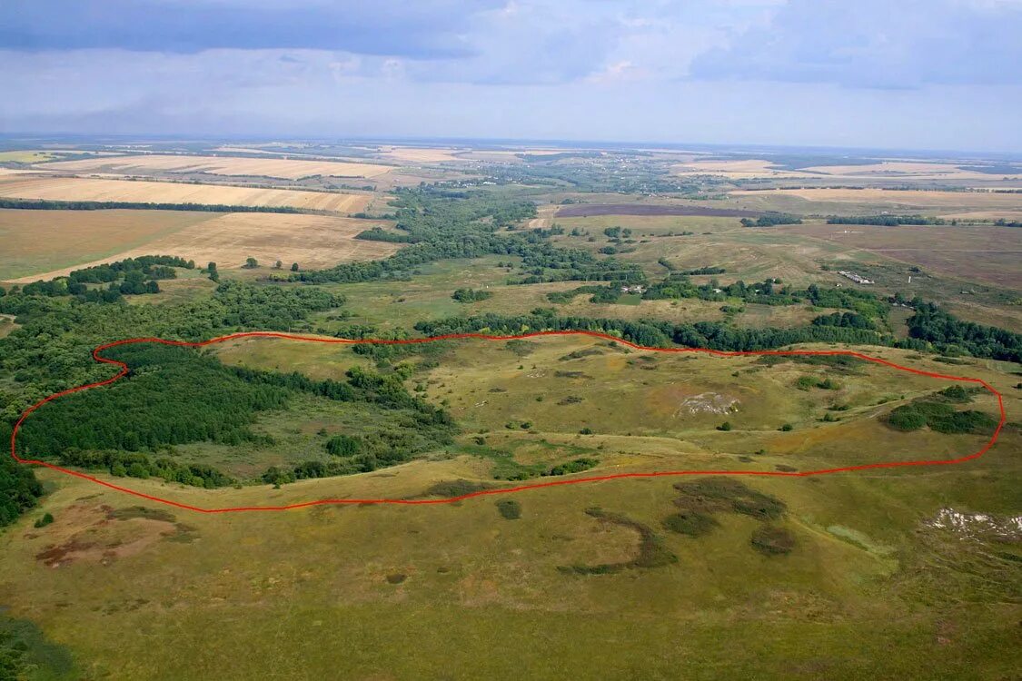 Центрально-Черноземный заповедник Курск. Стрелецкая степь Курск заповедник. Центрально-Чернозёмный заповедник Курская область. Участок Баркаловка Центрально-Черноземного заповедника. Полезные ископаемые лесостепи