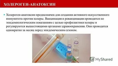 Прививка от холеры