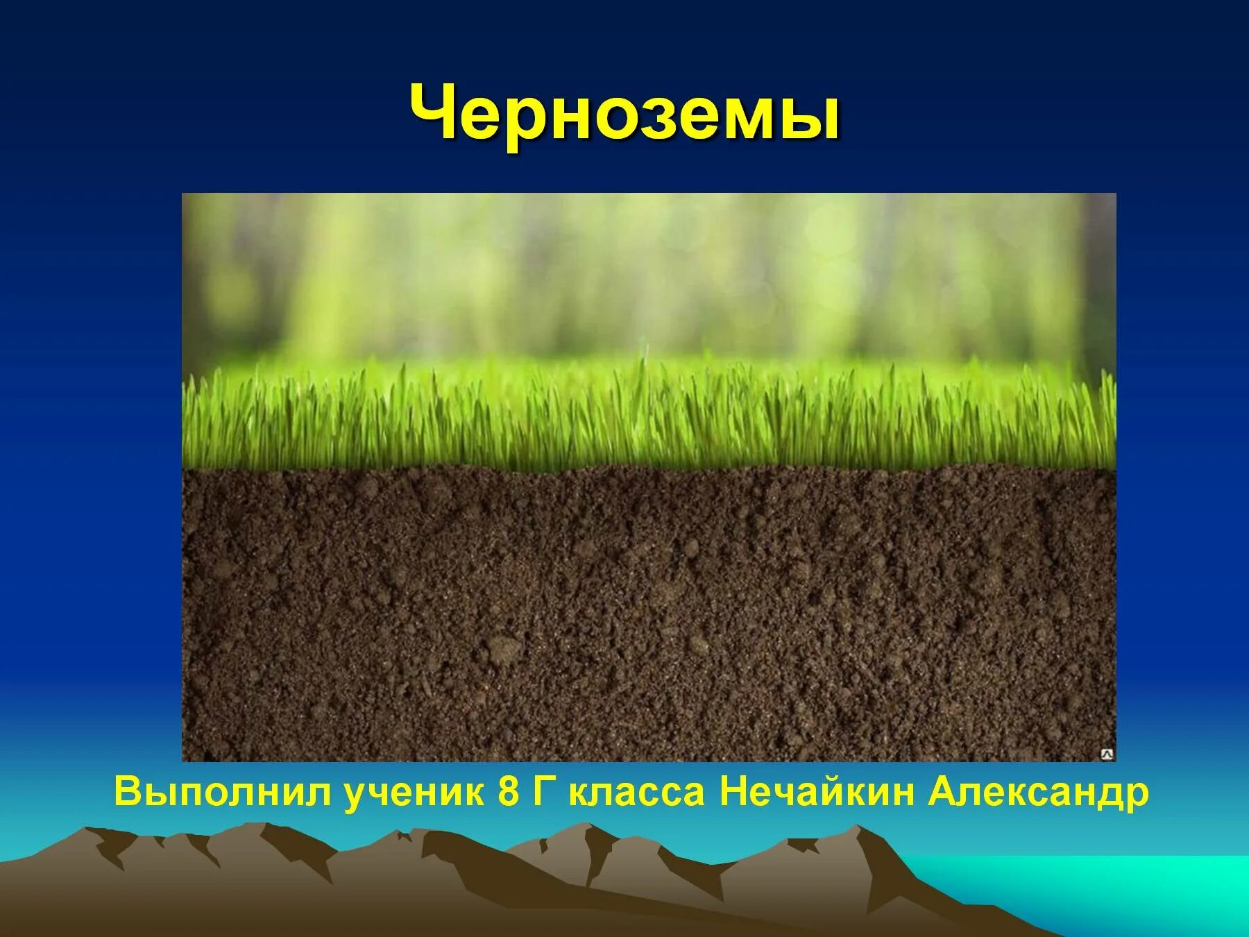 Черноземные почвы. Чернозем география. Чернозем почва. Почва чернозем география. Наиболее плодородными почвами являются чернозем