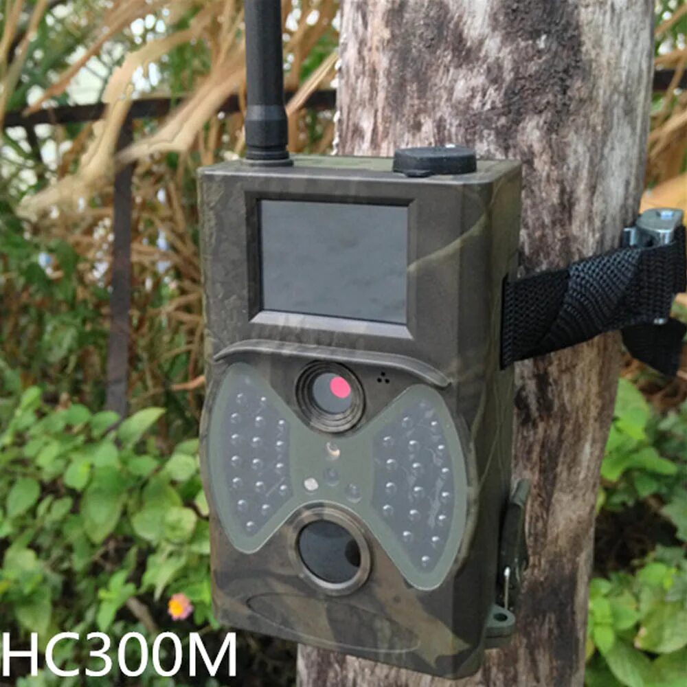 Камеры для охоты купить. Фотоловушка 300м НС. Фотоловушка для охоты GSM. HC-300m. Камера для охоты.