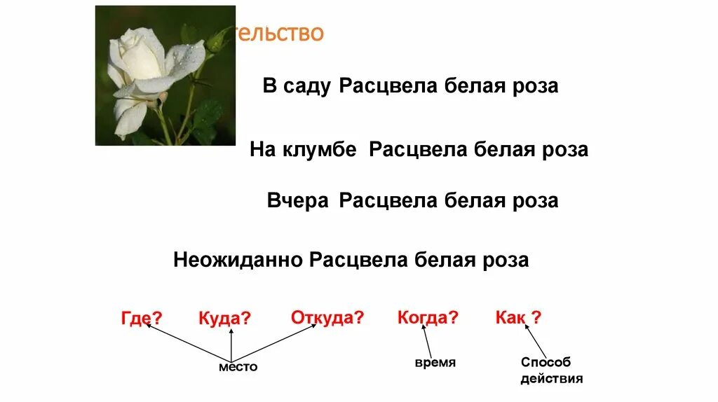 Как пишется зацвела