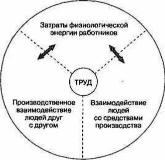 Физиологическая энергия