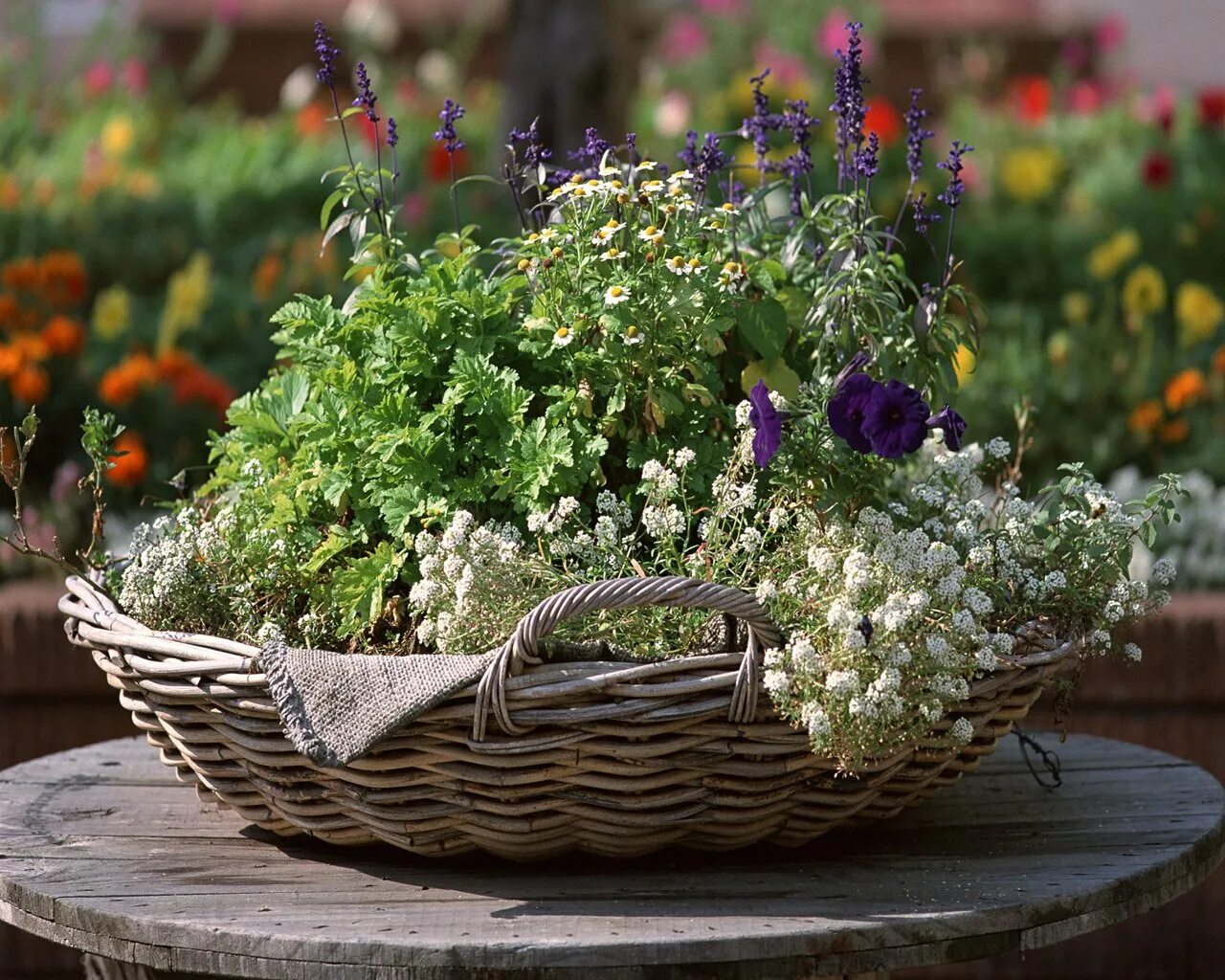 Композиция цветочный сад. Плетеная корзинка в цветнике. Клумба плетеная корзина. Цветы в огороде.