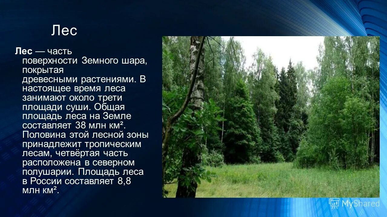 лесной двор. бюро пропусков северск режим. лесная время работы. природные сообщества липецкой области. лесная время работы.