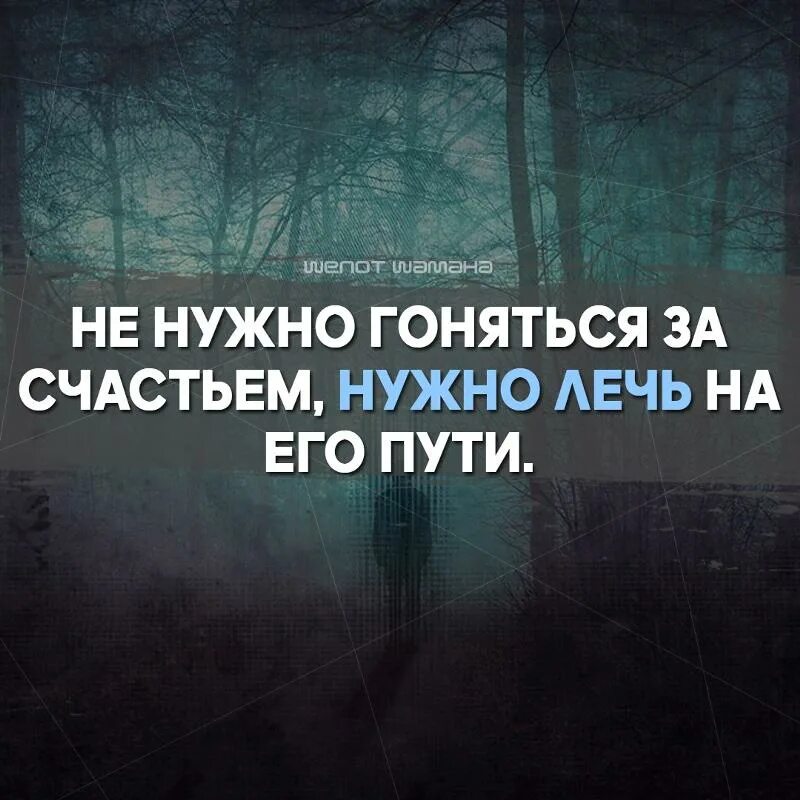 Гонятся нужно. Не нужно гоняться за счастьем. Не нужно гоняться за счастьем нужно лечь на его пути. Почему не нужно гоняться за счастьем. Шепот шамана картинки.