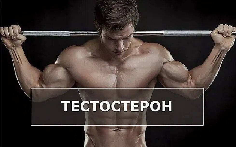 Тестостерон это для чего. Тестостерон. тестостерон картинки. что повышает тестостерон. тестостерон и спорт.