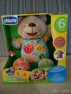 Teddy отзывы