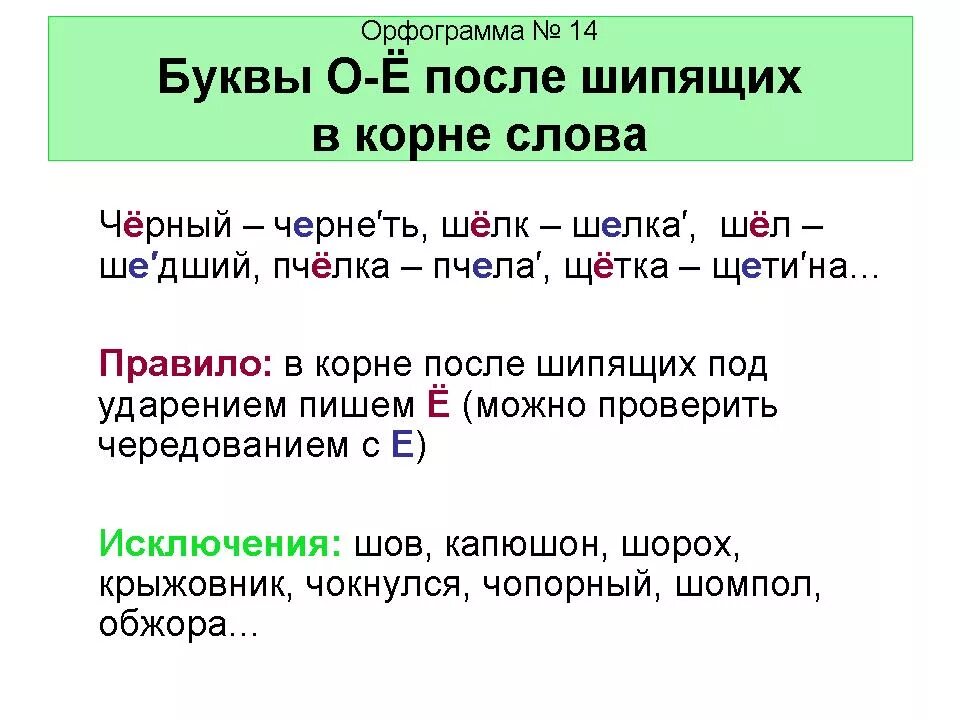 Выполняющий орфограмма в слове