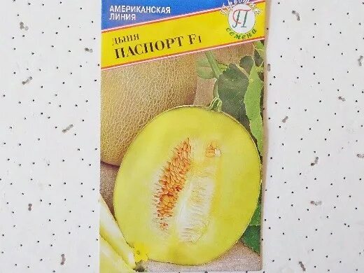 Сорта дынь для урала