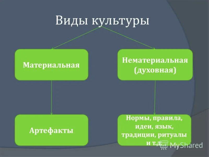 Вид культурной. Виды культуры. Типы материальной культуры. Виды духовнойклуьтуры. Виды культуры Обществознание.