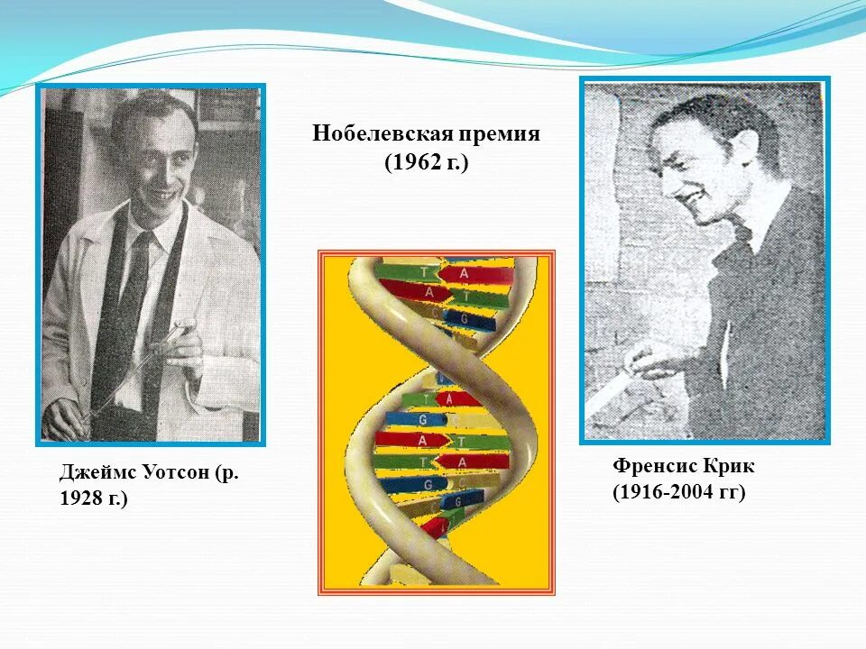 Нобелевская премия за днк. Нобелевская премия за днк. Нобелевские лауреаты по медицине и физиологии. Открытие днк нобелевская премия. Нобелевская премия за открытие днк.