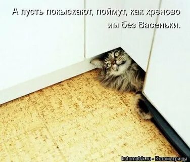 Не успел спрятаться