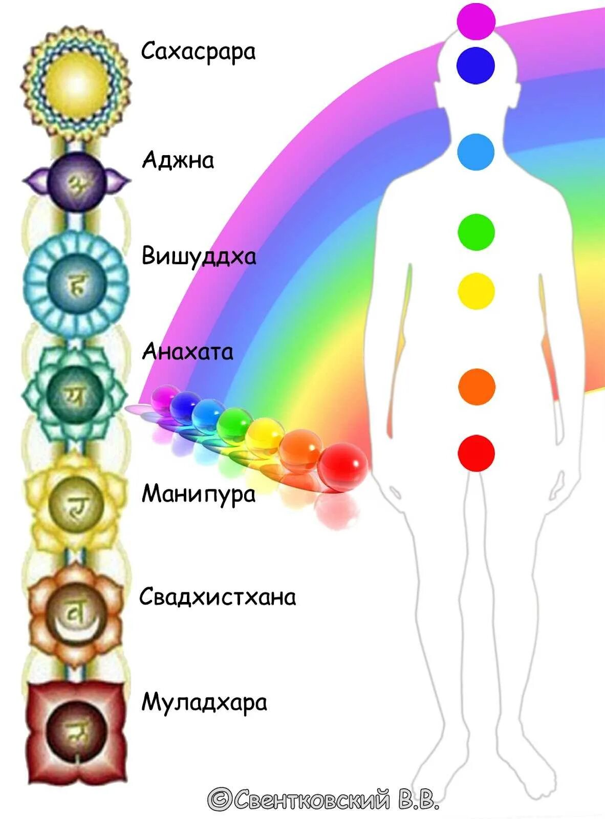 Чакры названия и значения. Энергетические центры человека чакры. 7 чакр человека. 7 чакр человека их цвета. чакры схема расположения.