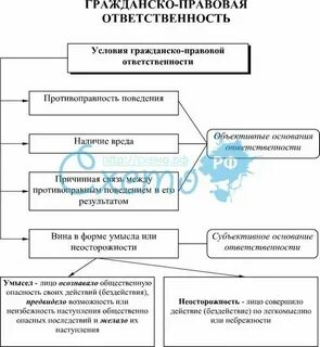 Виды гражданско правовых систем