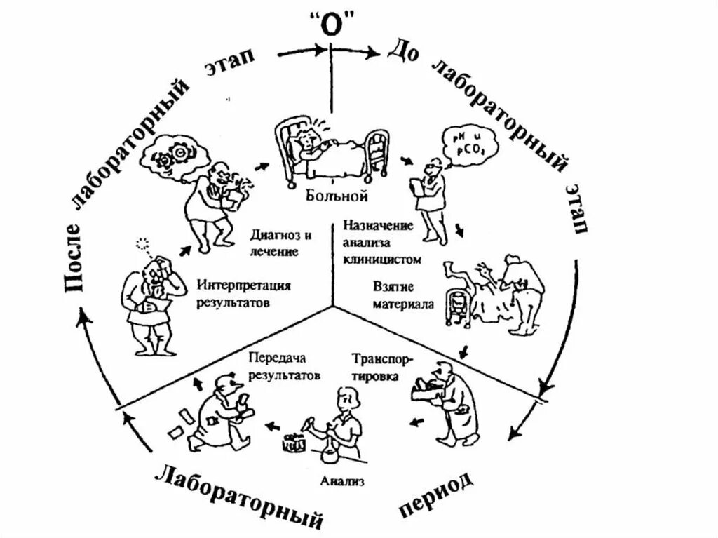 Этапы лабораторного анализа. Схемы этап лабораторных исследований. Основные этапы лабораторного анализа. Основные этапы лабораторного исследования. Схема этапов лабораторного анализа.